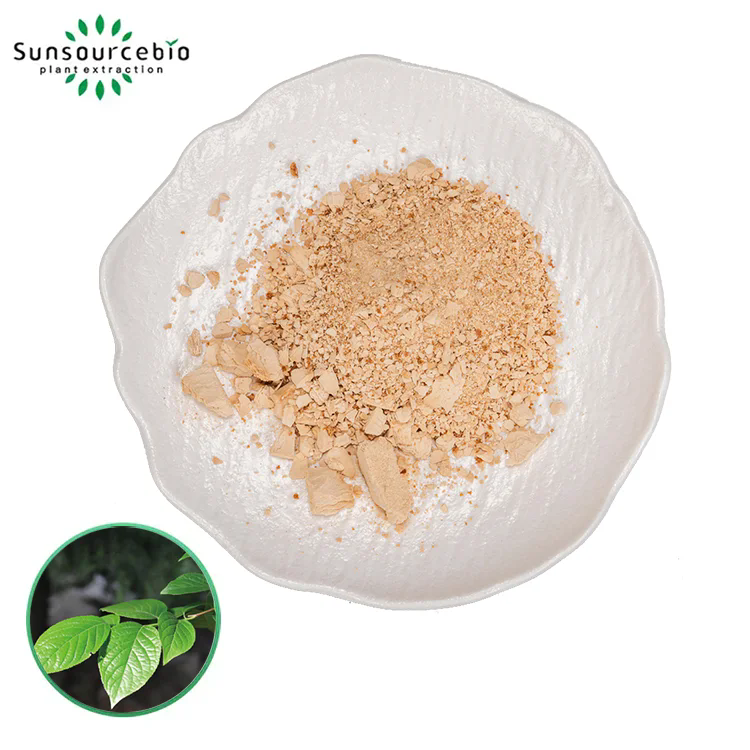 Como a Eucommia Extract Powder desbloqueia a saúde?